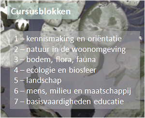 Cursusblokken