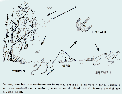 Uit Een Natuurlijke Zaak