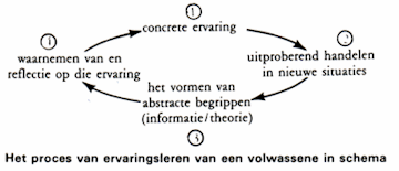 Model Leerstijlen